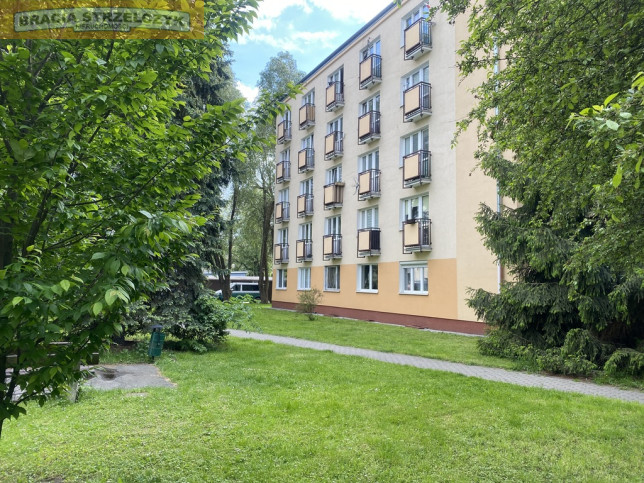 Mieszkanie Wynajem  Ochota Jasielska 29